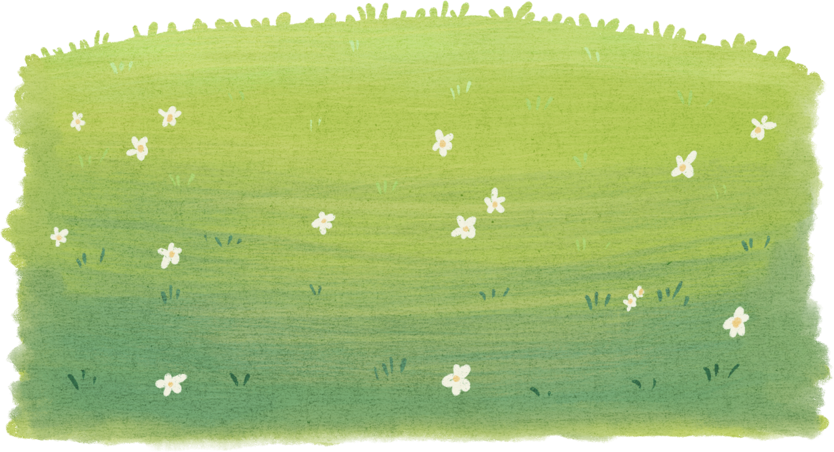 Grass Watercolor Illustration